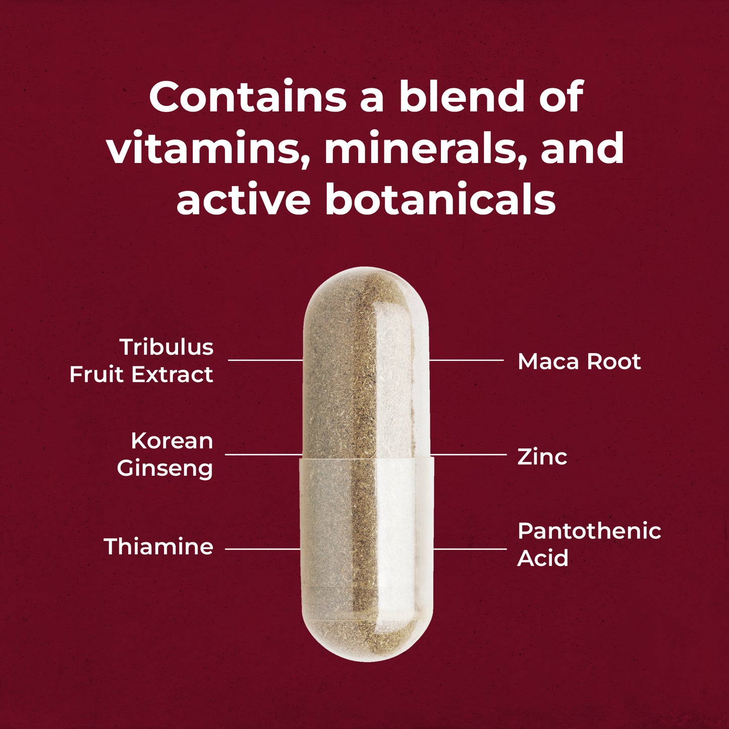 Health & Him Desire Multi-Nutrient Support